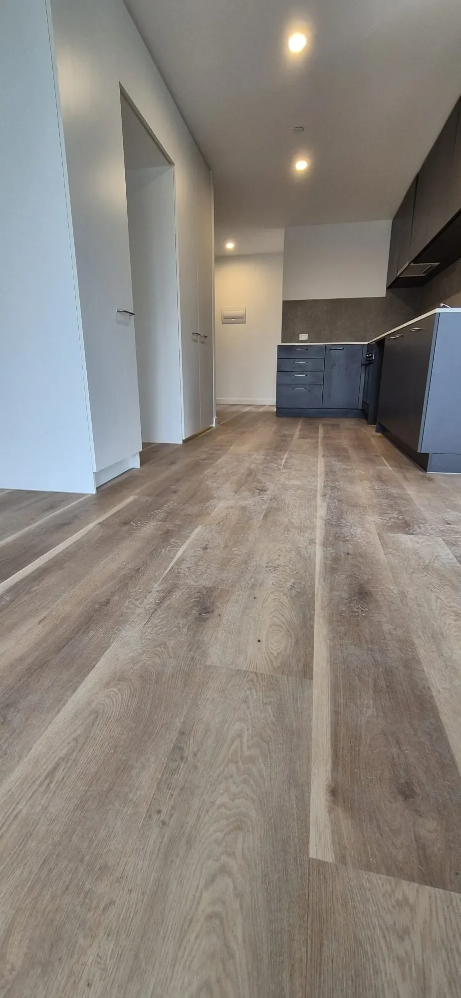 Apartments, Hampton East: Hybrid plank, view 8