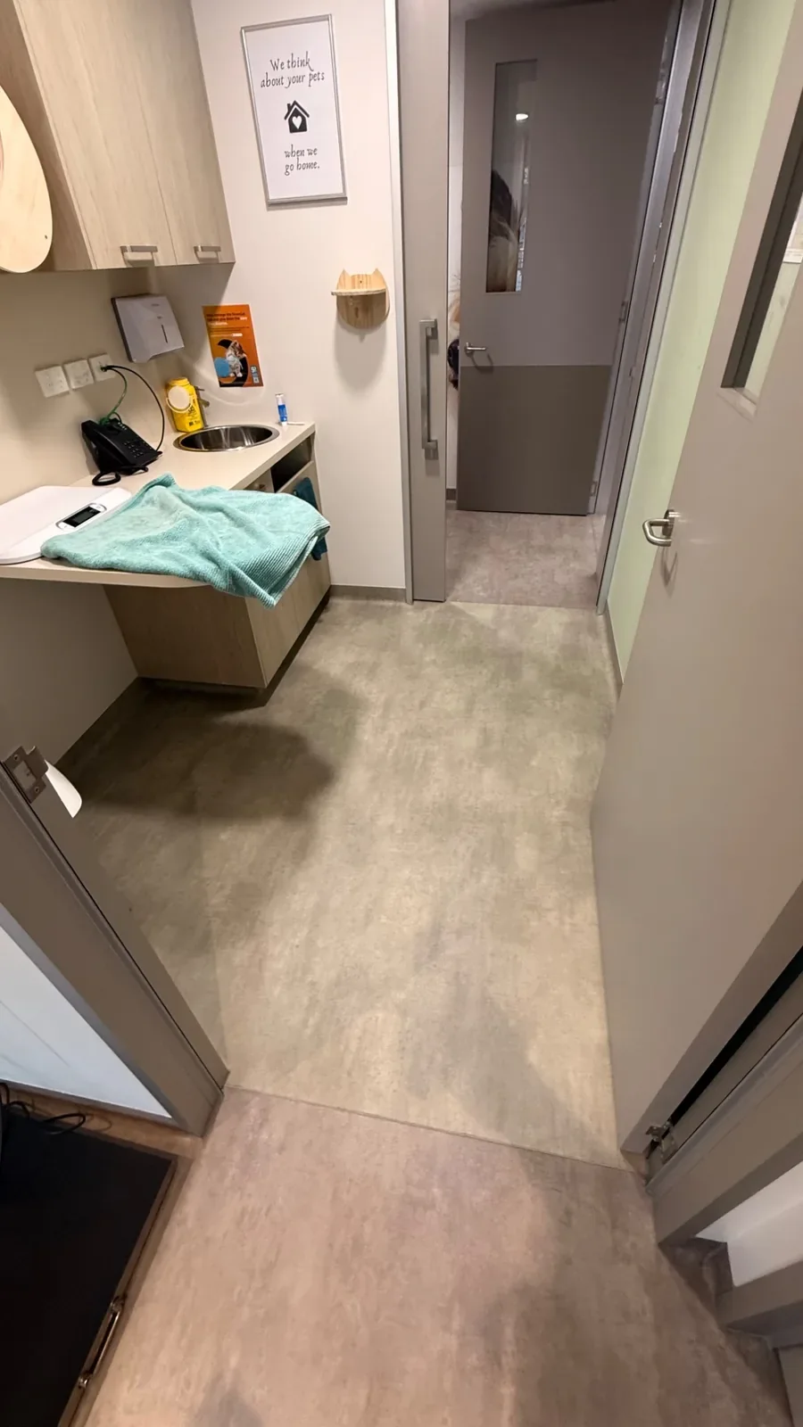 Caring Paws Veterinary Care: Vinyl sheet, view 6