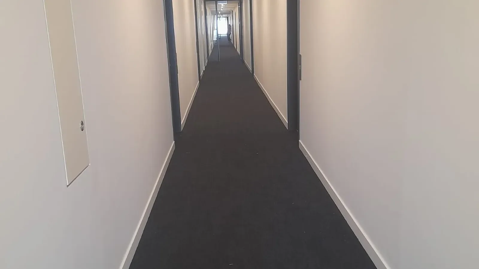 Nest at the Hill Apartments, Victoria: laid commercial floor