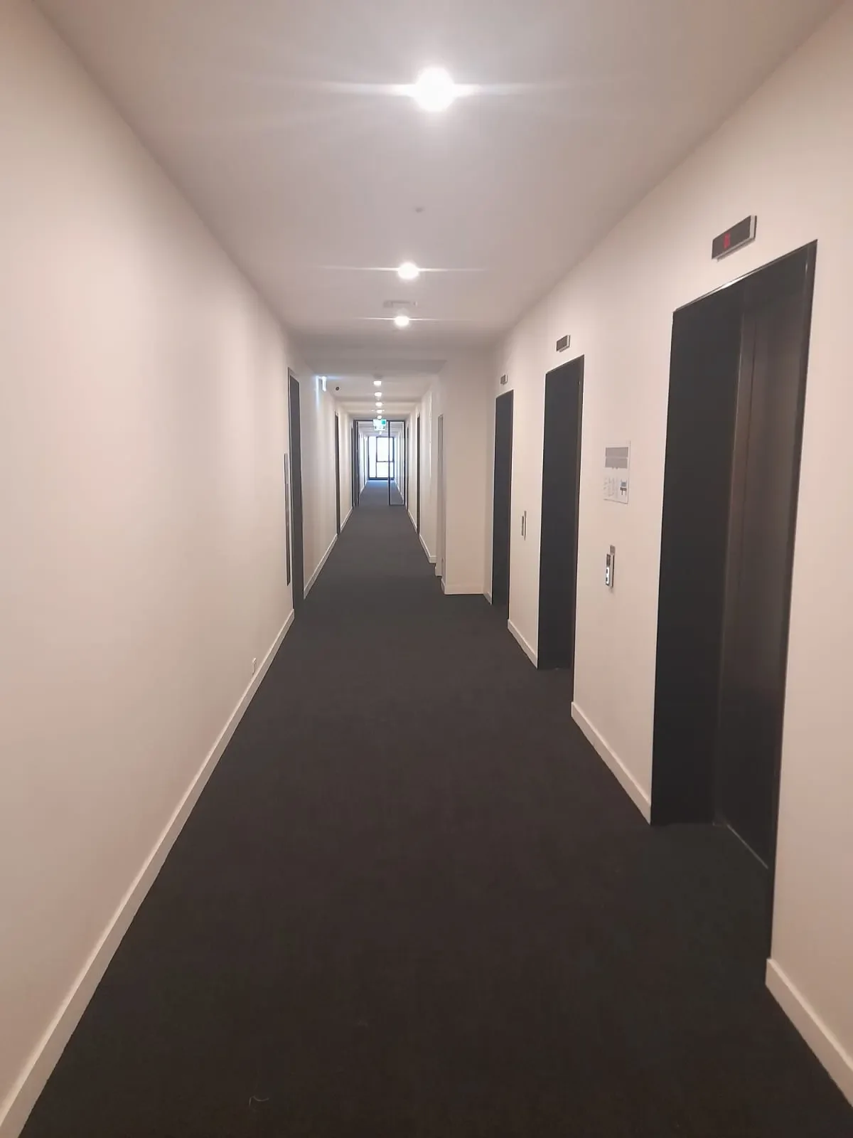 Nest at the Hill Apartments: Hybrid plank, view 5