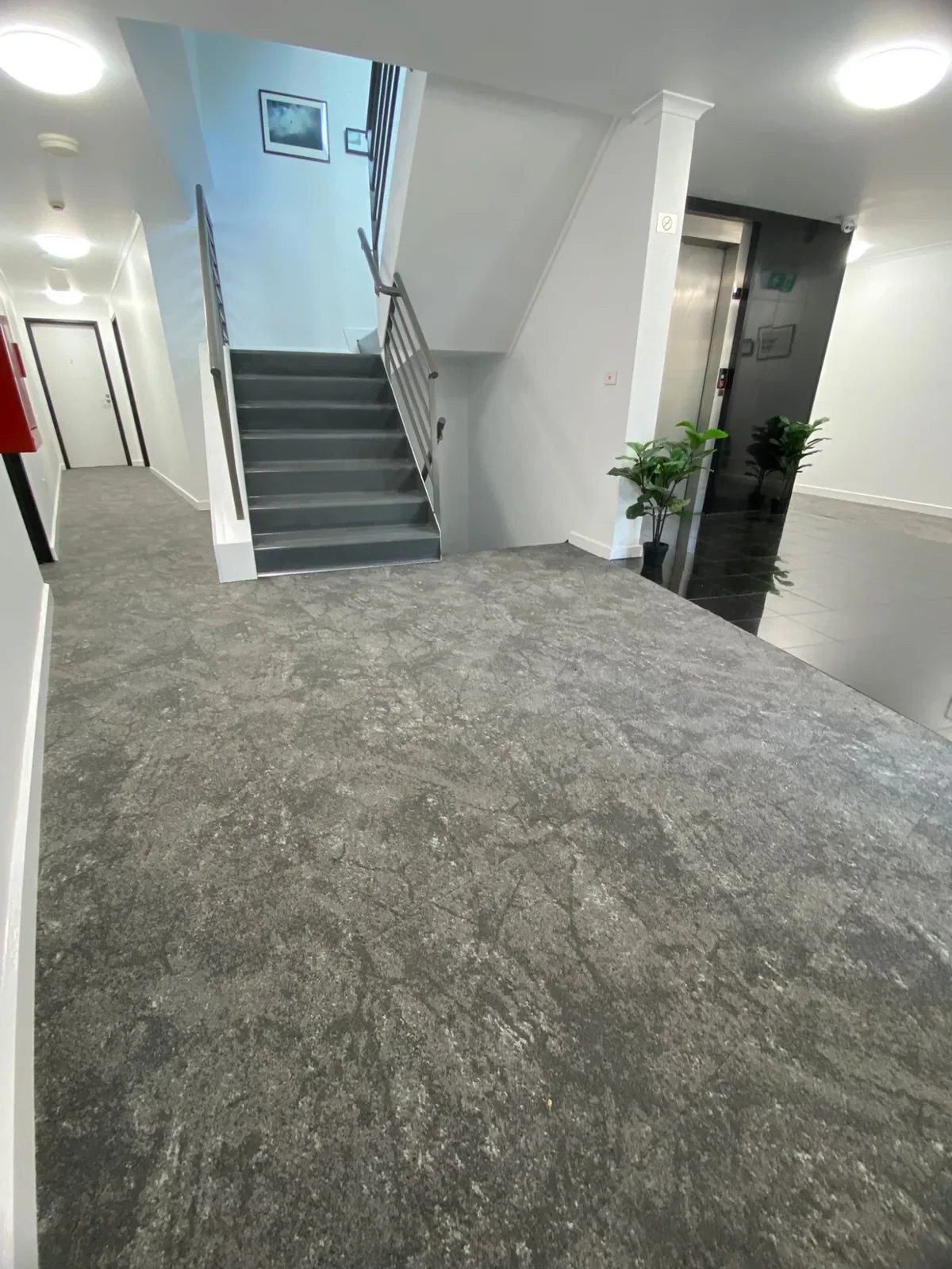 75–77 Tram Road: Carpet tile, view 7