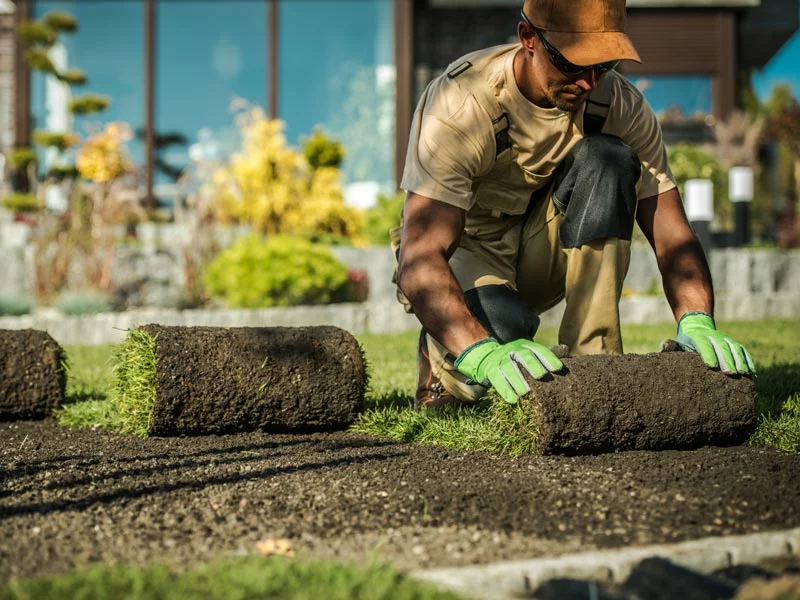 Landscaped commercial grounds with lawn and garden beds