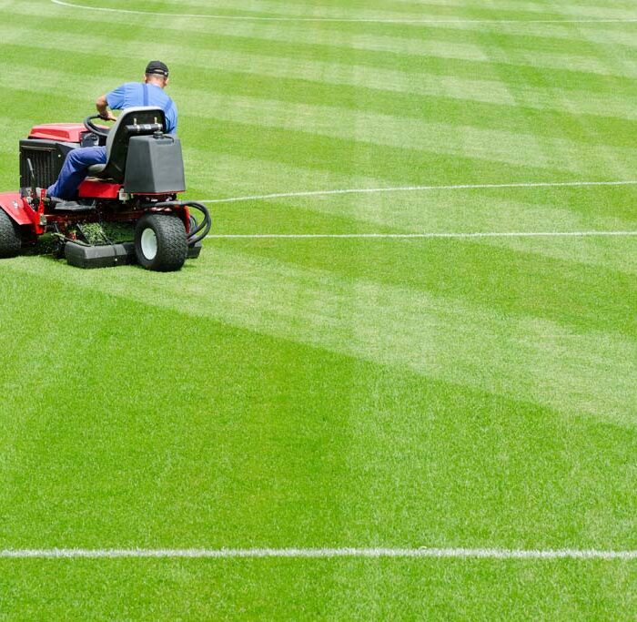 Well-kept sports turf and maintained outdoor grounds
